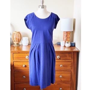 Banana Republic indigo dress